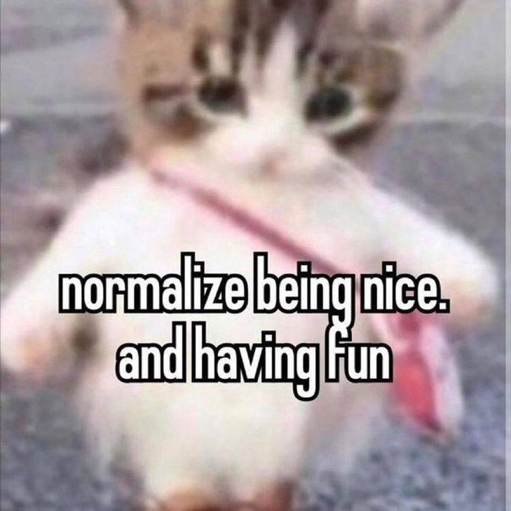 a cat, appearing to stand on 2 legs, with its 'arms' in an A pose, with a purse type bag. has text overlayed that says 'normalize being nice and having fun'